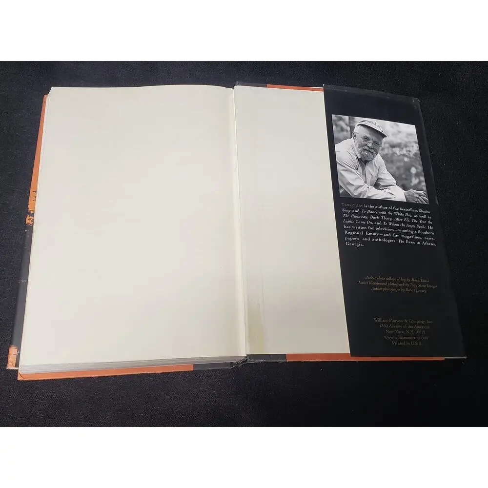 Terry Kay The Kidnapping of Aaron Greene Novel Hardback Book